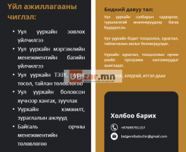 Уул уурхайн ТЭЗҮ, консалтинг